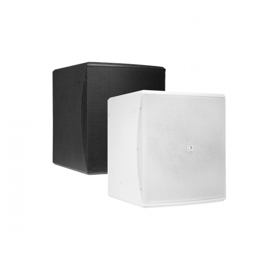Subbas 10'' i gruppen Hembioutrustning hos Ask�s Testmilj� 2 (AUD-BASO10)