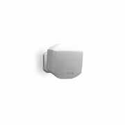 V�ggzpeaker 2,5", Par
