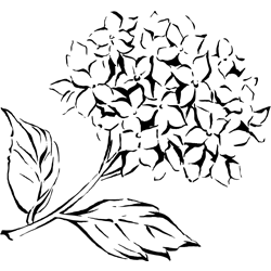 Symbol 41 Symbol 41