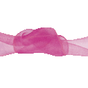 fuchsia fuchsia