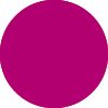 fuchsia fuchsia