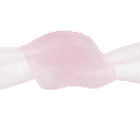 rosa rosa