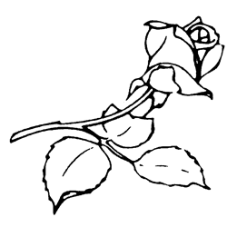 Symbol 1 Symbol 1