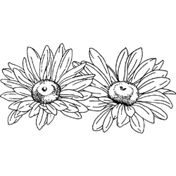Symbol 26 Symbol 26